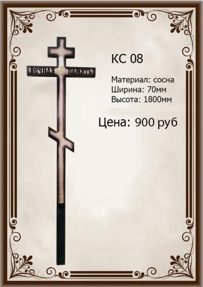 Rcs008