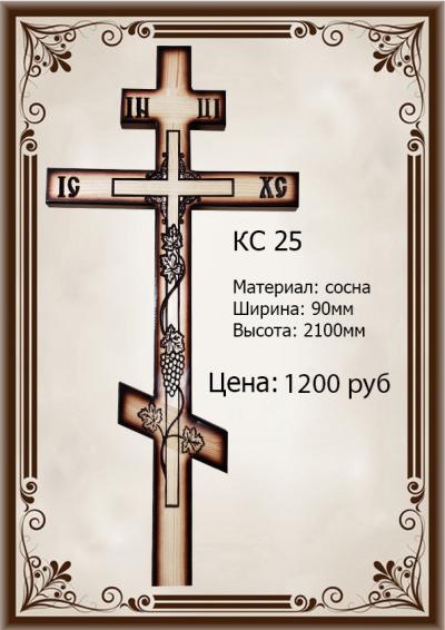 Rcs25