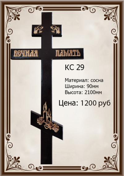 Rcs29