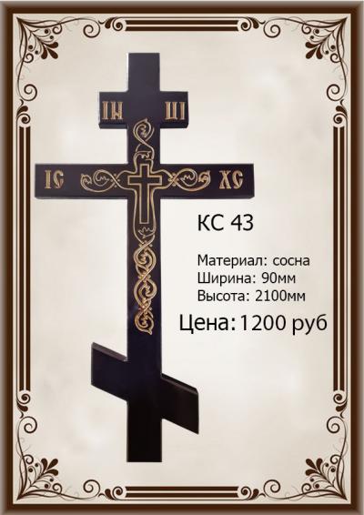 Rcs43